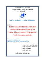 Tối ưu hóa môi trường lên men vi khuẩn nội sinh bacillus sp. t3 nhằm nâng cao hoạt tính kháng nấm corynespora cassiicola