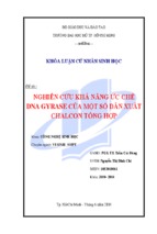 Nghiên cứu khả năng ức chế dna gyrase của một số dẫn xuất chalcon tổng hợp