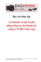 Báo cáo thực tập lợi nhuận và một số giải pháp nâng cao lợi nhuận tại công ty tnhh cửu long