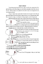 Skkn-phương pháp xây dựng công thức tổng quát tính số loại giao tử hình thành qua giảm phân