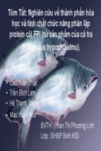 Nghiên cứu về thành phần hóa học và tính chất chức năng phân lập protein cá (fpi) từ sản phẩm của cá tra (pangasius hypophthalmu)