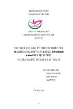 Xác định nồng độ ức chế tối thiểu của florfenicol đối với vi khuẩn edwardsiella ictaluri gây bệnh trên cá tra tại đồng tháp và an giang