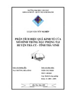 Phân tích hiệu quả kinh tế của mô hình trồng đậu phộng tại huyện trà cú tỉnh trà vinh