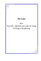 Tìm hiểu tình hình sản xuất cây trồng vụ đông ở địa phương