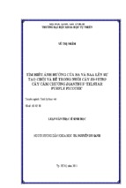 Tìm hiểu ảnh hưởng của ba và naa lên sự tạo chồi và rễ trong nuôi cấy in-vitro cây cẩm chướng dianthus telstar purple picotee