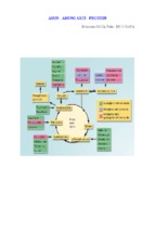 Amin - amino axit - protein