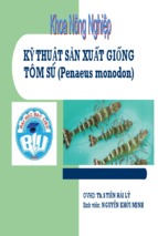 Bài thuyết trình kỹ thuật sản xuất giống tôm sú - penaeus monodon