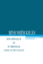 Bài thuyết trình bệnh nhiễm khuẩn do họ vibrionaceae ở động vật thủy sản nuôi