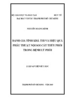 đánh giá tính khả thi và hiệu quả phẫu thuật nội soi cắt thùy phổi trong bệnh lý phổi