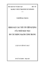 Khảo sát các yếu tố tiên lượng của nhồi máu não do tắc động mạch cảnh trong [full]