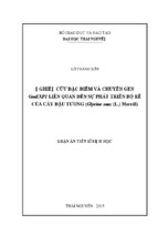 Nghiên cứu đặc điểm và chuyển gen gmexp1 liên quan đến sự phát triển bộ rễ của cây đậu tương (glycine max (l.) merrill)