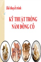 Bài thuyết trình kỹ thuật trồng nấm đông cô