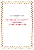 Skkn-một số biện pháp nhằm tăng cường xã hội hóa giáo dục ở trường mầm non tuổi hoa