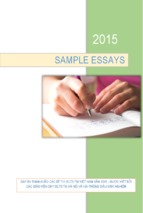 Sample essays vietnam 2015