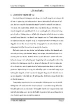 Lý thuyết phân chia tổn thất chung - bùi thế anh