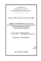 Báo cáo kết quả đề tài cấp bộ năm 2008 nghiên cứu sinh trưởng của cây con và ảnh hưởng của cây giống đến năng suất rừng trồng keo tai tượng và bạch đàn urophylla