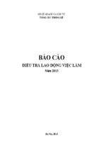 Báo cáo điều tra lao động việc làm năm 2013 - bộ kế hoạch và đầu tư tổng cục thống kê