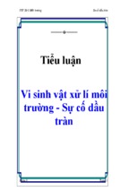 Tiểu luận vi sinh vật xử lí môi trường - sự cố dầu tràn 