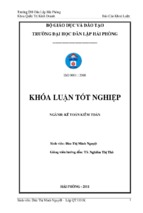 Hoàn thiện kế toán doanh thu chi phí và xác định kết quả kinh doanh tại chi nhánh công ty tnhh một thành viên 319- xí nghiệp 359 ﻿