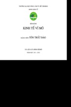 Bài giảng kinh tế vĩ mô