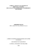 A medical molecular genetics of orofacial clefting role of abc transporter polymorphisms in disease risk