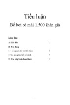 Tiểu luận bể bơi có mái 1.500 khán giả