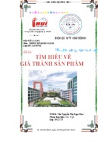 Tiểu luận tìm hiểu giá thành sản phẩm