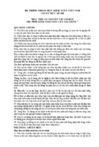 Hệ thống chuẩn mực kiểm toán việt nam chuẩn mực số 200