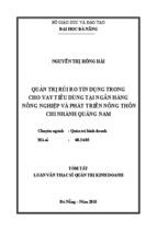 Luận văn thạc sĩ quản trị kinh doanh quản trị rủi ro tín dụng trong cho vay tiêu dùng tại ngân hàng nông nghiệp và phát triển nông thôn chi nhánh quảng nam