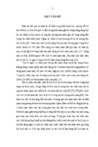 Luận án ngành thần kinh-nghiên cứu diễn biến lâm sàng và hình thái ổ máu tụ ở bệnh nhân chảy máu não nhu mô trên lều trong 72 giờ đầu