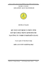 Kế toán xác định và phân tích kết quả hoạt động kinh doanh tại công ty tnhh cơ khí kiên giang