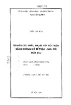 Nghiên cứu phẫu thuật lấy sỏi thận bằng đường mở bể thận nhu mô mặt sau