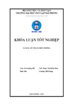 (khóa luận tốt nghiệp) tìm hiểu khả năng hấp phụ sắt của vật liệu hấp phụ chế tạo từ rơm  