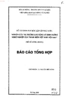 Báo cáo tổng hợp đề tài khoa học độc lập cấp nhà nước nghiên cứu thị trường lao động và định hướng nghề nghiệp của thanh niên việt nam hiện nay