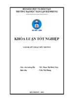 (khóa luận tốt nghiệp) nghiên cứu khả năng hấp phụ sắt trong nước của vật liệu hấp phụ chế tạo từ xơ dừa