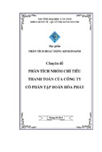 Chuyên đề phân tích nhóm chỉ tiêu thanh toán của công ty cổ phần tập đoàn hòa phát