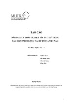 Luận văn đánh giá tác động của quy tắc xuất xứ trong các hiệp định thương mại tự do của việt nam   nhóm chuyên gia