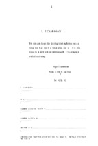 Luận án tiến sĩ kinh tế giải pháp thu hút và sử dụng các nguồn vốn đầu tư phát triển điện ảnh việt nam đến năm 2010