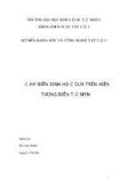 Luận văn đề tài nghiên cứu khoa học cảm biến sinh học dựa trên hiện tượng điện tử spin