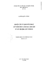 Luận án tiến sĩ nghiên cứu áp dụng phẫu thuật cắt thần kinh x chọn lọc đầu gần để điều trị bệnh loét tá tràng