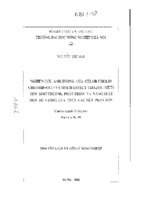 Luận án tiến sĩ nghiên cứu ảnh hưởng của chlor cholin chlorid và multi effect triazol đến sinh trưởng phát triển và năng suất một số giống lúa trên các nền phân bón