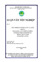 Luận văn tốt nghiệp thử nghiệm ương nuôi cá xiêm (baetta splendes) và cá bống tượng (oxyeleotris marmorata) bằng trùn giấm (tubatrix aceti)   đh nông lâm tp hồ chí minh