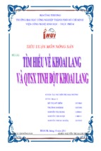 Tìm hiểu về khoai lang và quá trình sản xuất tinh bột khoai lang   trường đh công nghiệp thành phố hcm