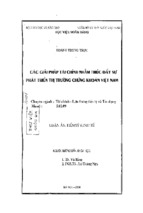 Luận văn thạc sĩ các giải pháp tài chính nhằm thúc đẩy sự phát triển thị trường phát triển việt nam