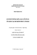 Luận văn thạc sĩ giải pháp phòng ngừa, hạn chế rủi ro tín dụng tại chi nhánh ngân hàng công thương 2 tp