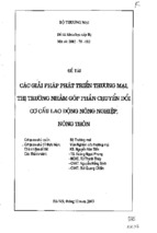 Luận văn thạc sĩ các giải pháp nhằm phát triển thương mại, thị trường nhằm góp phần chuyển đổi cơ cấu lao động nông nghiệp, nông thôn