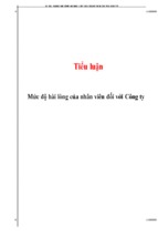 Tiểu luận khảo sát mức độ hài lòng của nhân viên đối với công ty