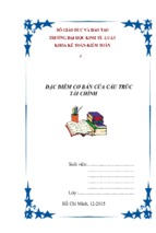 Luận văn đề tài đặc điểm cơ bản của cấu trúc tài chính