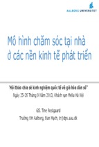 Mô hình chăm sóc tại nhà ở các nền kinh tế phát triển   gs. tine rostgaard