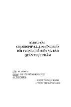 Bài báo cáo chlorophyll & những biến đổi trong chế biến và bảo quản thực phẩm